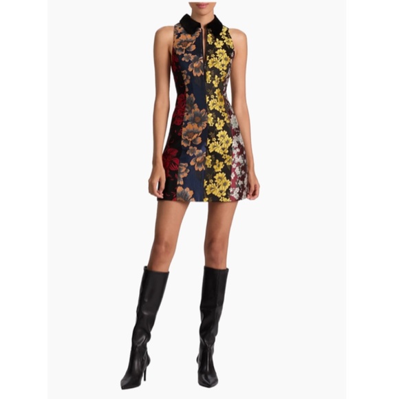 Alice + Olivia Velia Jacquard Collared Minidress NWT - Picture 2 of 5